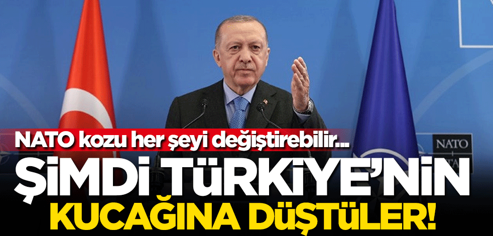NATO kozu her şeyi değiştirebilir... Şimdi Türkiye'nin kucağına düştüler!