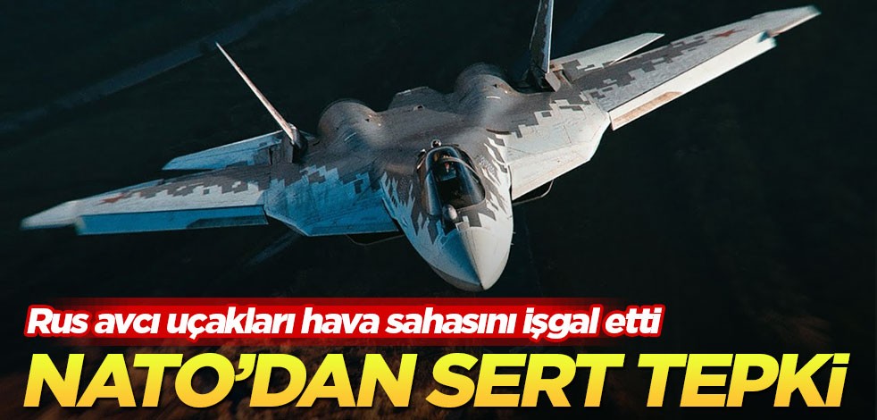 NATO Rusya'ya sert hava sahası ihlali tepkisi