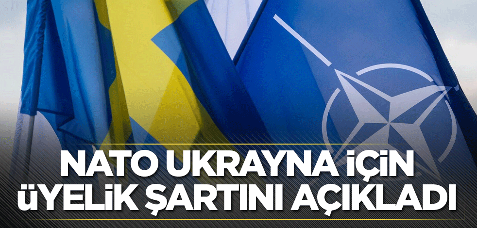 NATO Ukrayna için üyelik şartını açıkladı