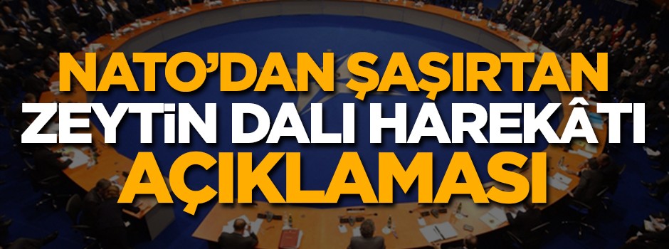 NATO'dan şaşırtan 'Zeytin Dalı Harekâtı' açıklaması