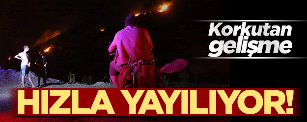 Nazilli'de korkutan yangın! Hızla yayılıyor
