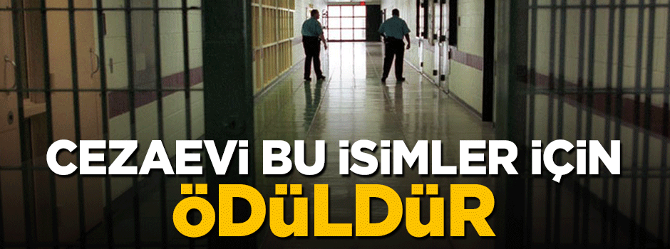 Nazlı Ilıcak, Kadri Gürsel, Şahin Alpay için cezaevi ödüldür