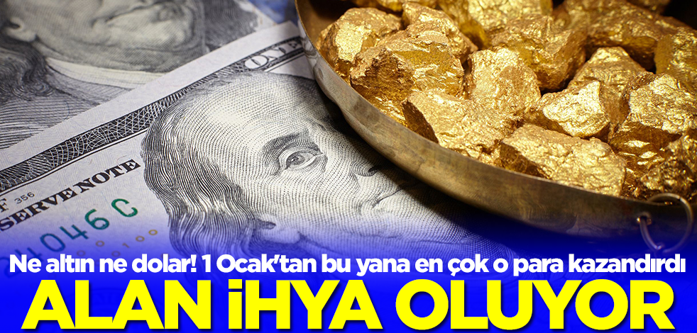 Ne altın ne dolar! 1 Ocak'tan bu yana en çok o para kazandırdı, alan ihya oluyor