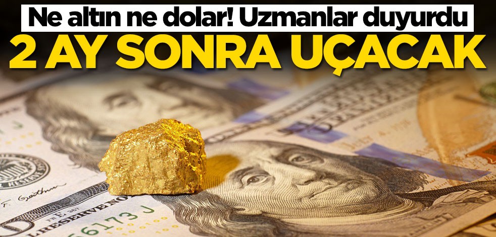 Ne altın ne dolar! 2 ay sonra uçacak