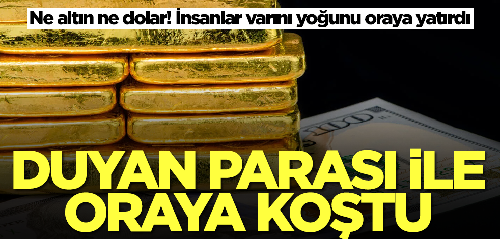 Ne altın ne dolar! İnsanlar varını yoğunu alıp oraya koştu, inanılmaz kar ettiriyor