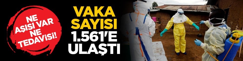 Ne aşısı var, ne tedavisi! Vaka sayısı 1.561'e ulaştı