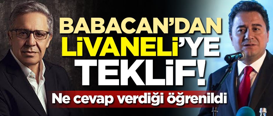 Ne cevap verdiği öğrenildi! Babacan'dan Livaneli'ye teklif!
