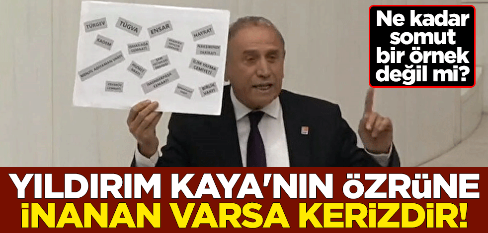 Ne kadar somut bir örnek değil mi? Yıldırım Kaya'nın özrüne inanan varsa kerizdir!
