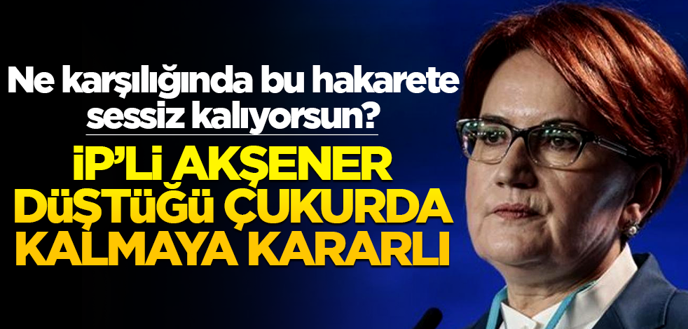Ne karşılığında bu hakarete sessiz kalıyorsun? İP’li Akşener, düştüğü çukurda kalmaya kararlı!