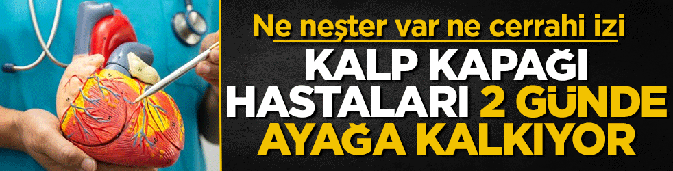 Ne neşter var ne cerrahi izi: Kalp kapağı hastaları 2 günde ayağa kalkıyor