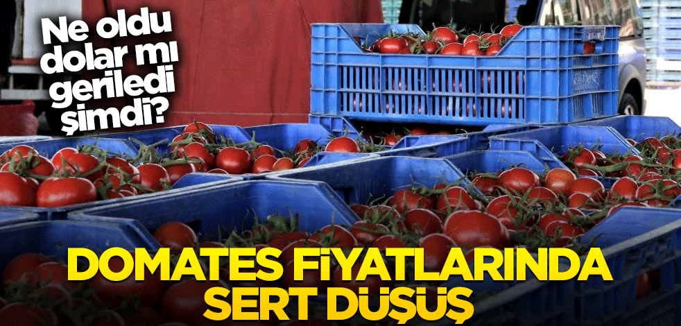 Ne oldu dolar mı geriledi şimdi? Domates fiyatlarında sert düşüş