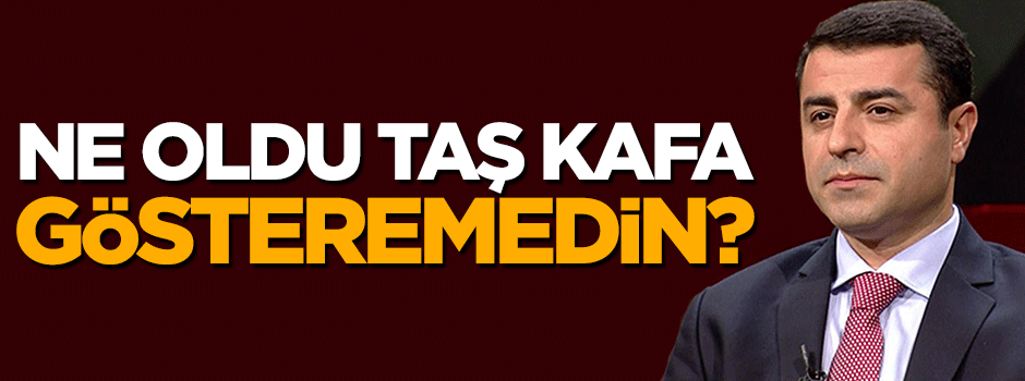 Ne oldu taş kafa, videoları gösteremedin?