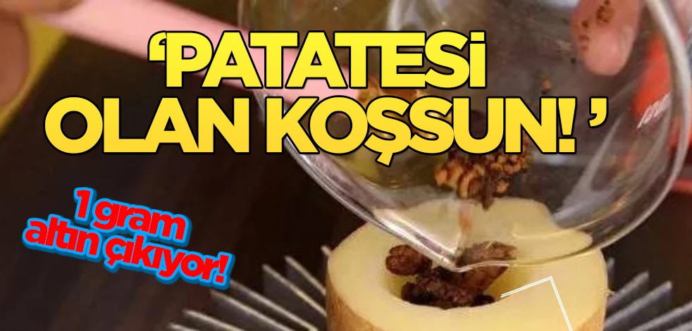 Ne petrol ne doğalgaz! Patatesi olan herkes dönüp bir daha baktı! Şok sözler: 1 gram altın, işbirliği ile yaptılar