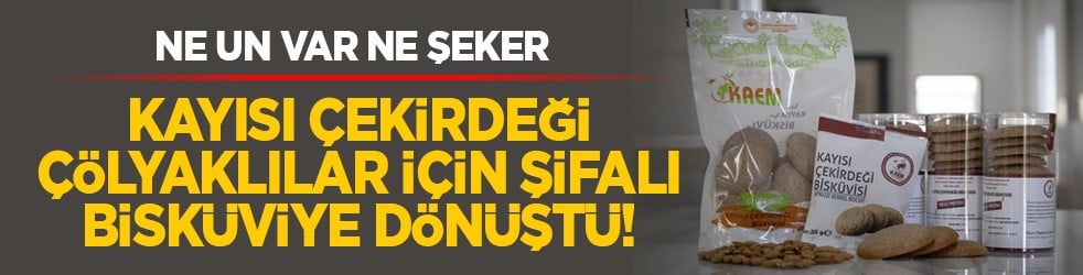 Ne un var ne şeker: Kayısı çekirdeği çölyaklılar için şifalı bisküviye dönüştü!