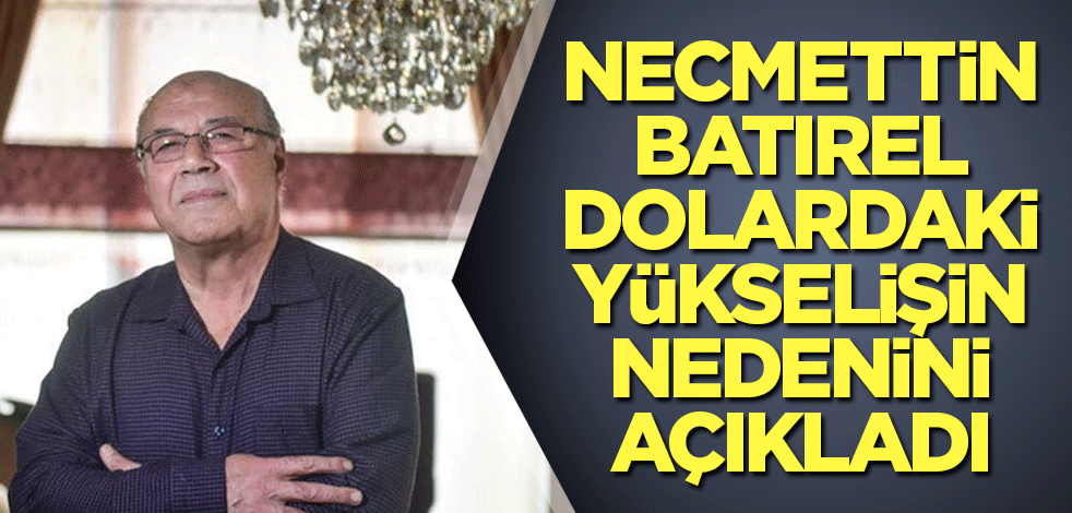 Necmettin Batırel dolardaki yükselişin nedenini açıkladı