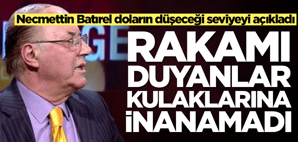 Necmettin Batırel doların düşeceği seviyeyi açıkladı! Rakamı duyanlar kulaklarına inanamadı