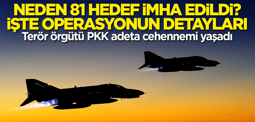 Neden 81 hedef vuruldu? İşte Pençe-Kartal Operasyonu'nun detayları