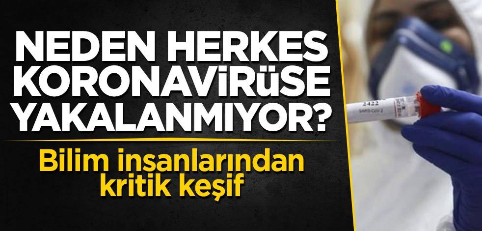 Neden herkes koronavirüse yakalanmıyor?
