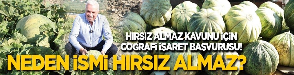 Neden ismi Hırsız Almaz? Hırsız Almaz Kavunu için coğrafi işaret başvurusu! 