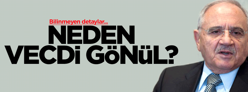 Neden Vecdi Gönül bakan oldu?