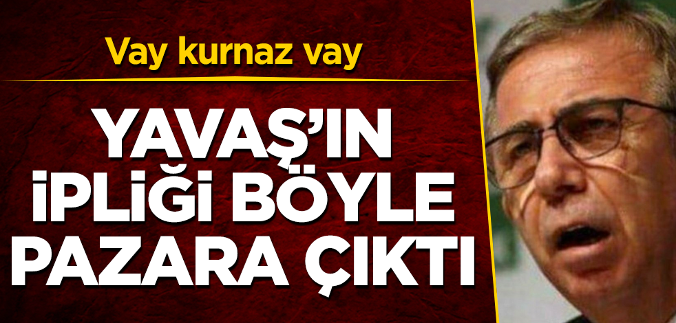 Nedim Şener, Mansur Yavaş'ın ipliğini böyle pazara çıkardı! Vay kurnaz vay