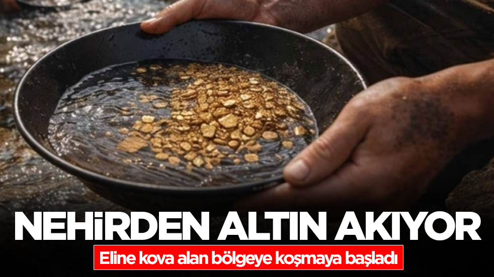 Nehir yatağından altın akıyor! Eline kova alan bölgeye koşmaya başladı