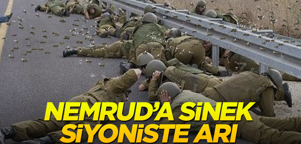 Nemrud’a sivrisinek, siyoniste eşek arısı