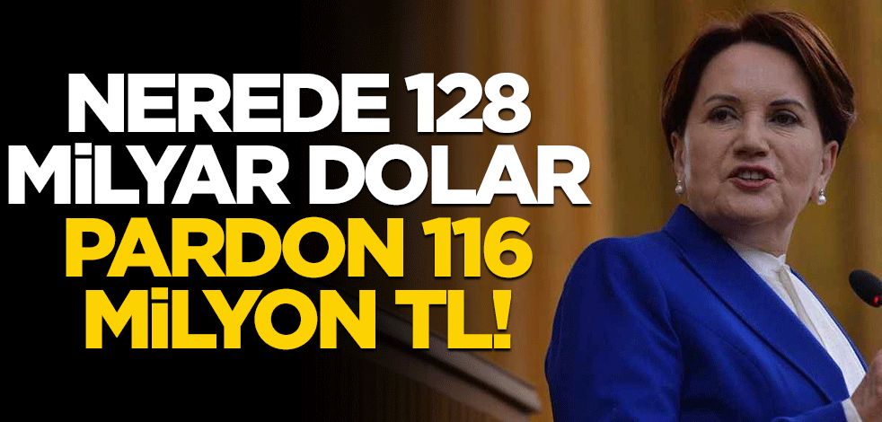 Nerede 128 milyar dolar, pardon 116 milyon TL!