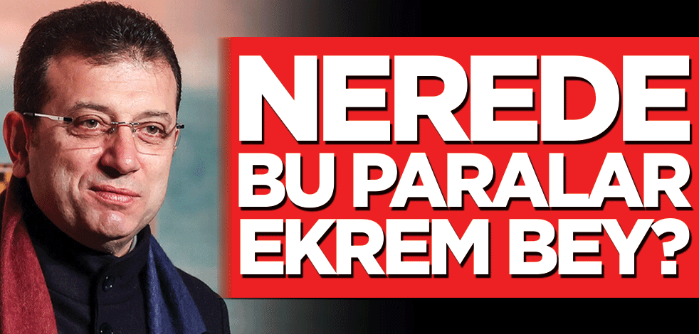 Nerede bu paralar Ekrem bey?