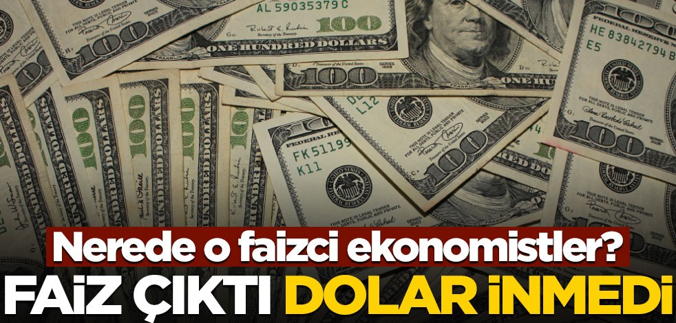 Nerede o faizci ekonomistler? Faiz çıktı dolar inmedi