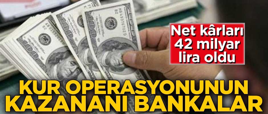 Net kârları 42 milyar lira oldu! Kur operasyonunun kazananı bankalar