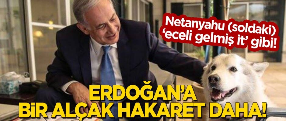 Netanyahu 'eceli gelen it' gibi saldırmaya devam ediyor: Erdoğan'a bir alçak hakaret daha!