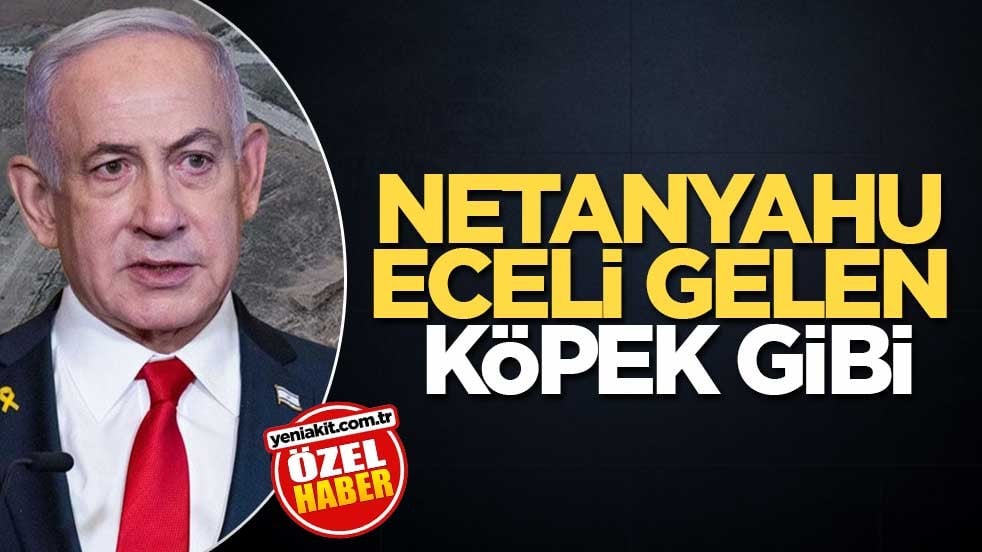 Netanyahu eceli gelen köpek gibi