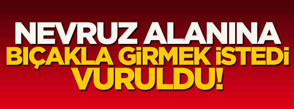  Nevruz alanına bıçakla girmek isteyen kişi vuruldu!