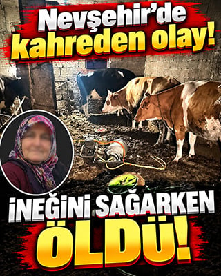 Nevşehir’de kahreden olay! İneğini sağarken canından oldu