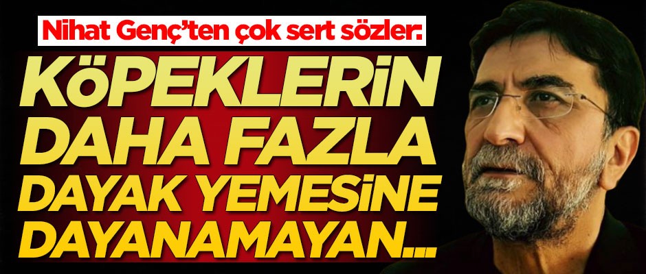 Nihat Genç'ten çok sert sözler: Köpeklerin dayak yemesine daha fazla dayanamayan...