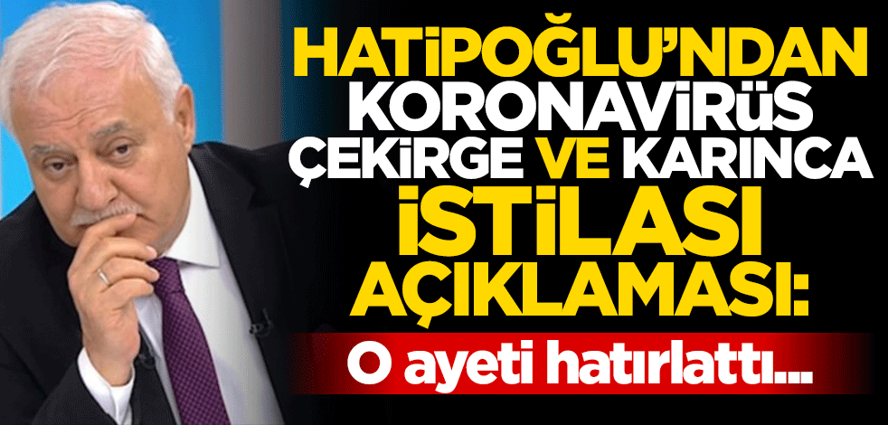 Nihat Hatipoğlu'ndan koronavirüs, çekirge istilası ve karınca istilası açıklaması: O ayeti hatırlattı...