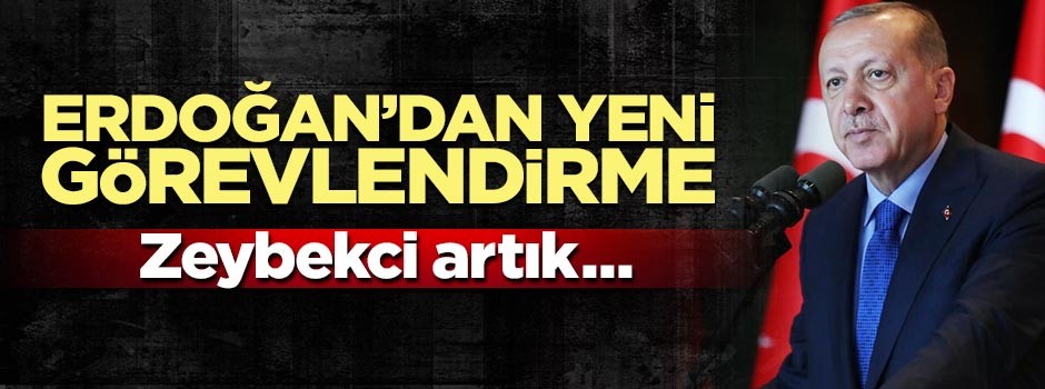 Nihat Zeybekci, Ekonomi Politikaları Kurulu Başkanvekilliğine getirildi