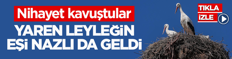 Nihayet kavuştular! Yaren leyleğin eşi Nazlı da geldi