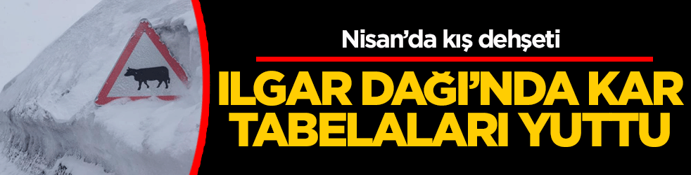 Nisan’da kış dehşeti: Ilgar Dağı’nda kar tabelaları yuttu