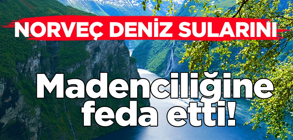 Norveç sularını derin deniz madenciliğine feda etti! Denizlerden fırtına esecek! İşte nedeni, kritik açıklaması