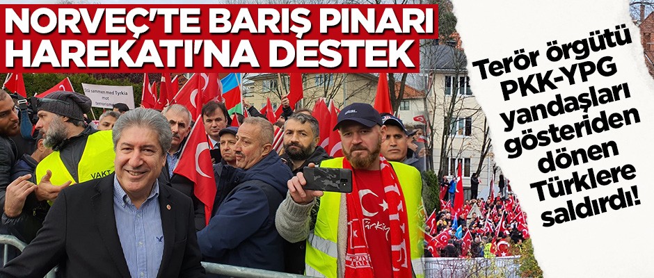 Norveç'te Barış Pınarı Harekatı'na destek gösterisi