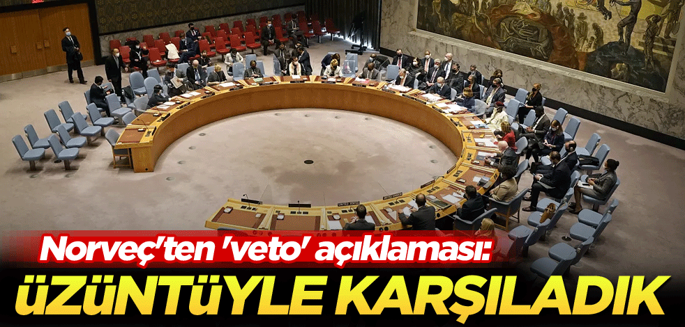 Norveç'ten 'veto' açıklaması: Üzüntüyle karşıladık