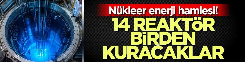 Nükleer enerji hamlesi! 14 reaktör birden kuracaklar