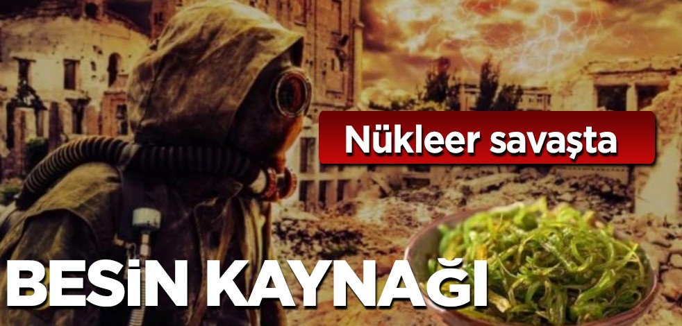 Nükleer savaşta insanlığı kurtarabilecek yeni besin kaynağı keşfedildi! Bakın neymiş!