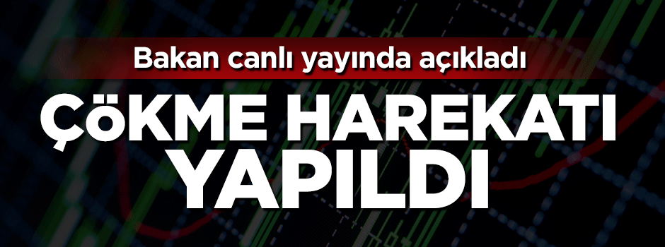 Nurettin Canikli: Piyasalarımıza çökme harekatı yapıldı