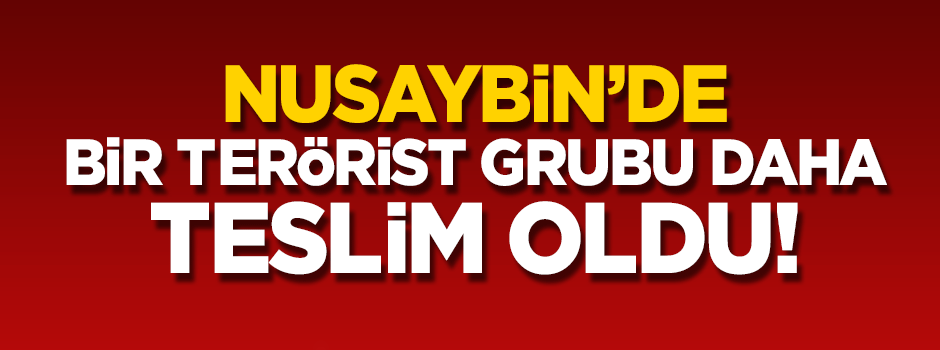 Nusaybin'de 5 PKK'lı daha teslim oldu