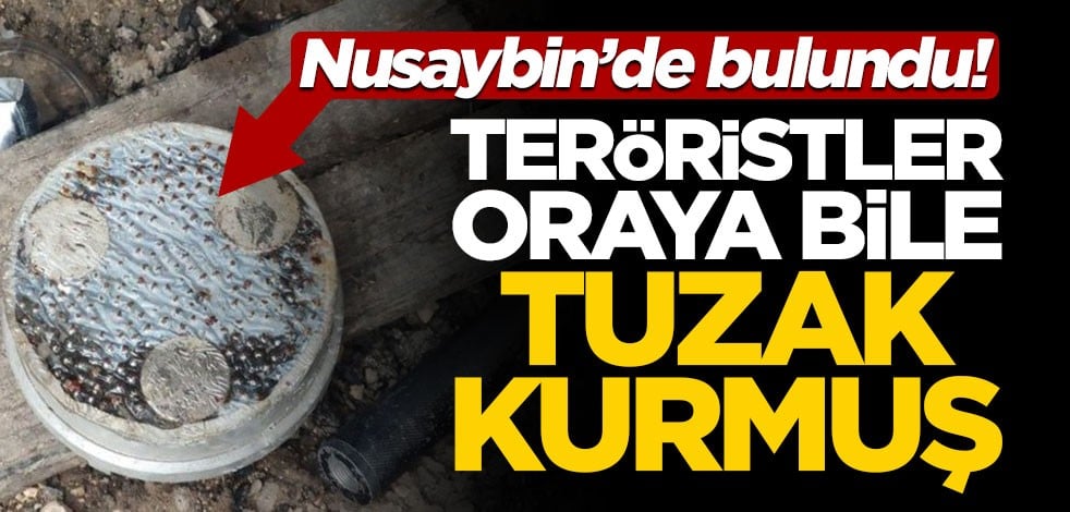 Nusaybin'de bulundu! Teröristler oraya bile tuzak kurmuş