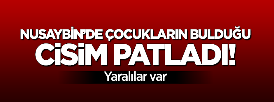 Nusaybin'de çocukların bulduğu cisim patladı: 6 yaralı!