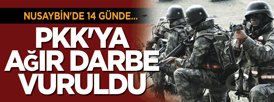 Nusaybin’de öldürülen PKK'lı sayısı
